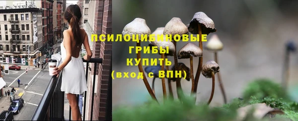 соль курить ск Пестово