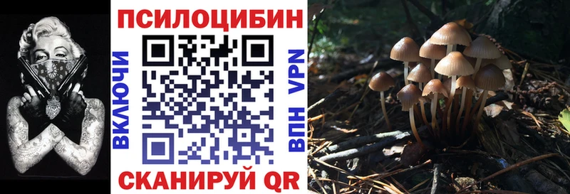 купить  сайты  Артёмовск  Галлюциногенные грибы мухоморы 